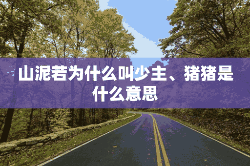 山泥若为什么叫少主、猪猪是什么意思